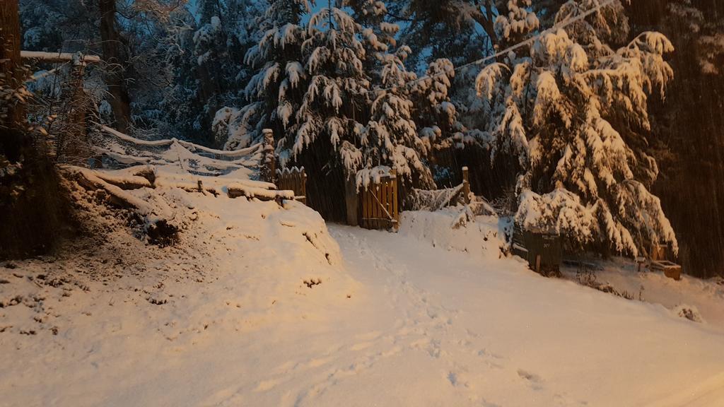 Vila Magda Villa La Angostura Exteriér fotografie